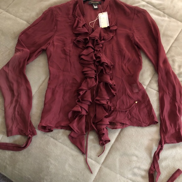 Roberto Cavalli Tops - Vintage Roberto Cavalli 100% Silk Blouse-Sheer Burgundy-Made in Italy
